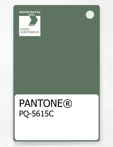 Artikelbild des Artikels “PANTONE® PLASTIC STANDARD CHIP PQ 5615C “