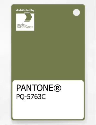 Artikelbild des Artikels “PANTONE® PLASTIC STANDARD CHIP PQ 5763C “