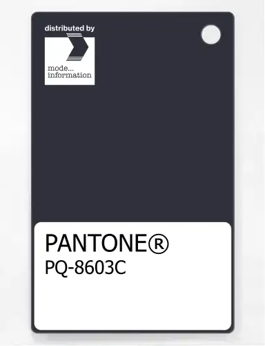 Artikelbild des Artikels “PANTONE® PLASTIC STANDARD CHIP PQ 8603C “