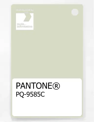 Artikelbild des Artikels “PANTONE® PLASTIC STANDARD CHIP PQ 9585C “