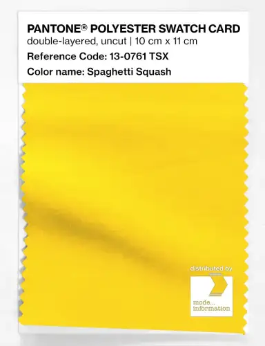 Artikelbild des Artikels “PANTONE® POLYESTER SWATCH CARD 13-0761 TSX Spaghetti Squash “