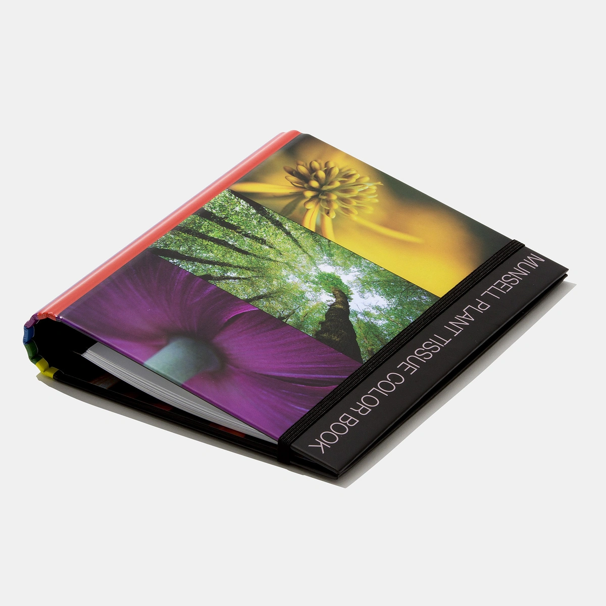 Artikelbild 1 des Artikels “Munsell Plant Tissue Color Book | Wissenschaftliche Farbtafeln für Pflanzengewebe “