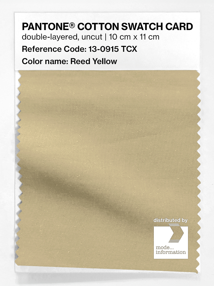 Product image 1 of the product “PANTONE® COTTON SWATCH CARD 13-0915 TCX Reed Yellow ”
