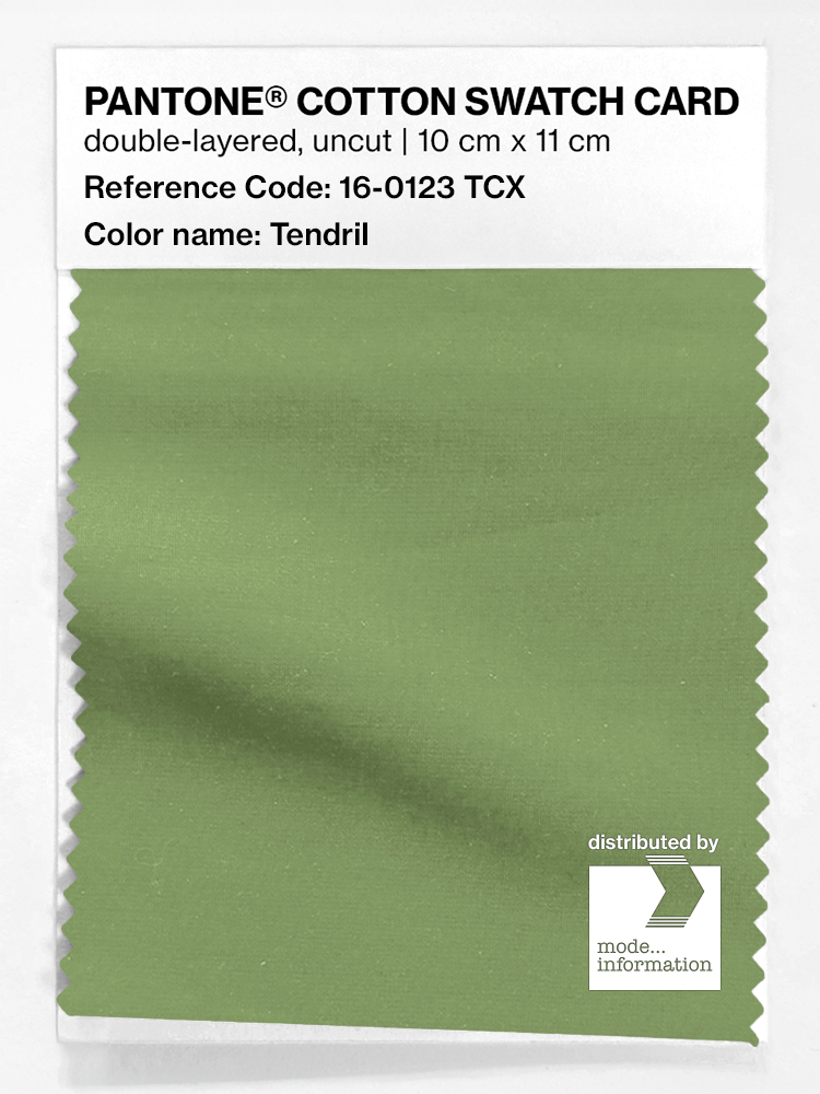 Product image 1 of the product “PANTONE® COTTON SWATCH CARD 16-0123 TCX Tendril ”