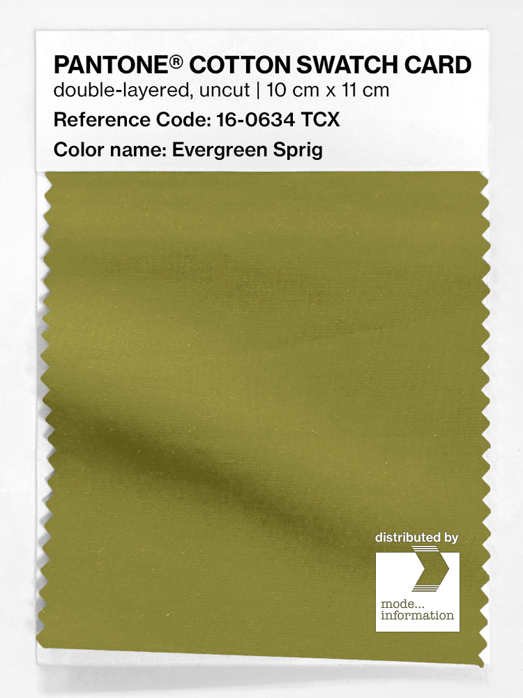 Product image 1 of the product “PANTONE® COTTON SWATCH CARD 16-0634 TCX Evergreen Sprig ”