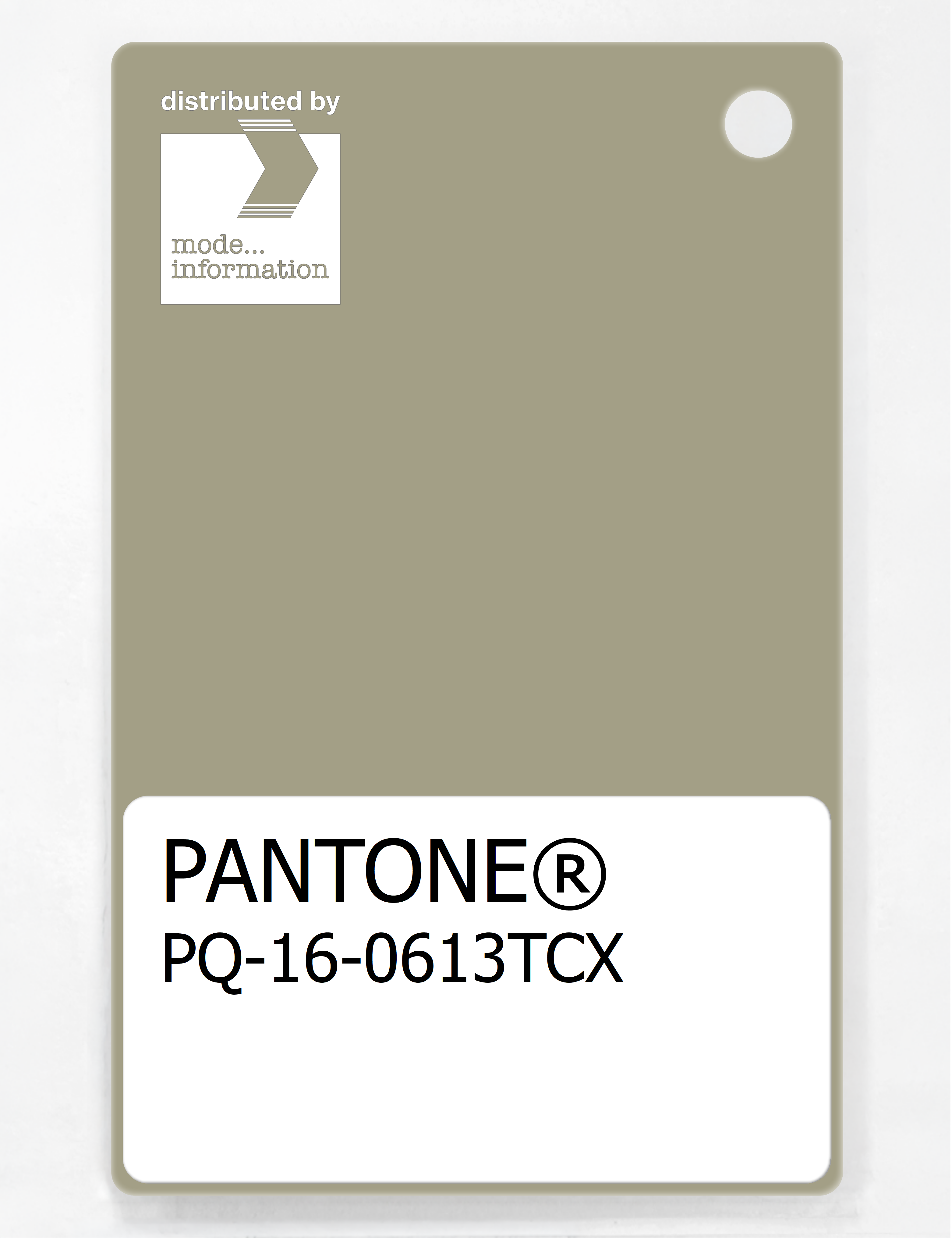 Product image 1 of the product “PANTONE® PLASTIC STANDARD CHIP PQ 16-0613 TCX Elm ”