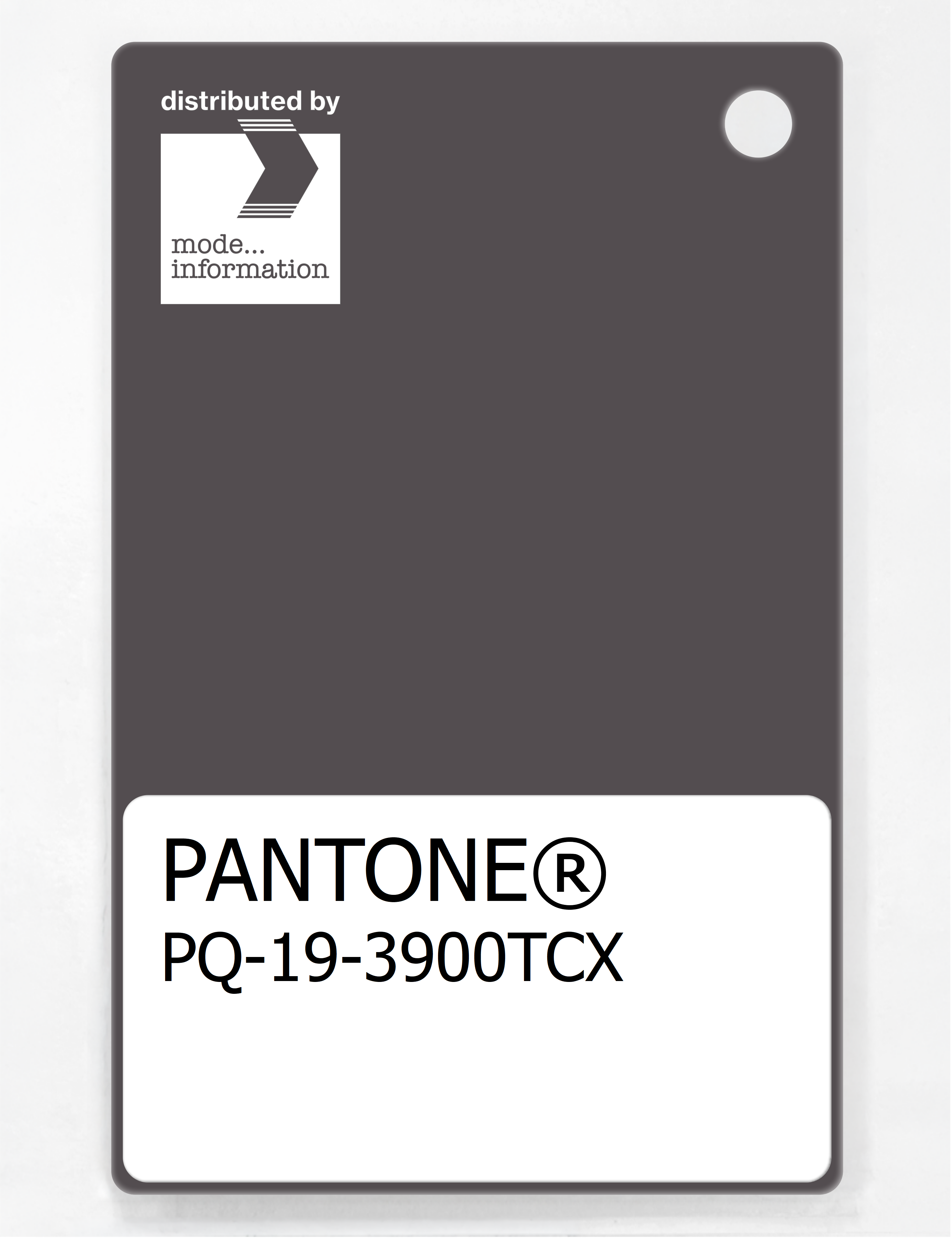 Product image 1 of the product “PANTONE® PLASTIC STANDARD CHIP PQ 19-3900 TCX Pavement ”