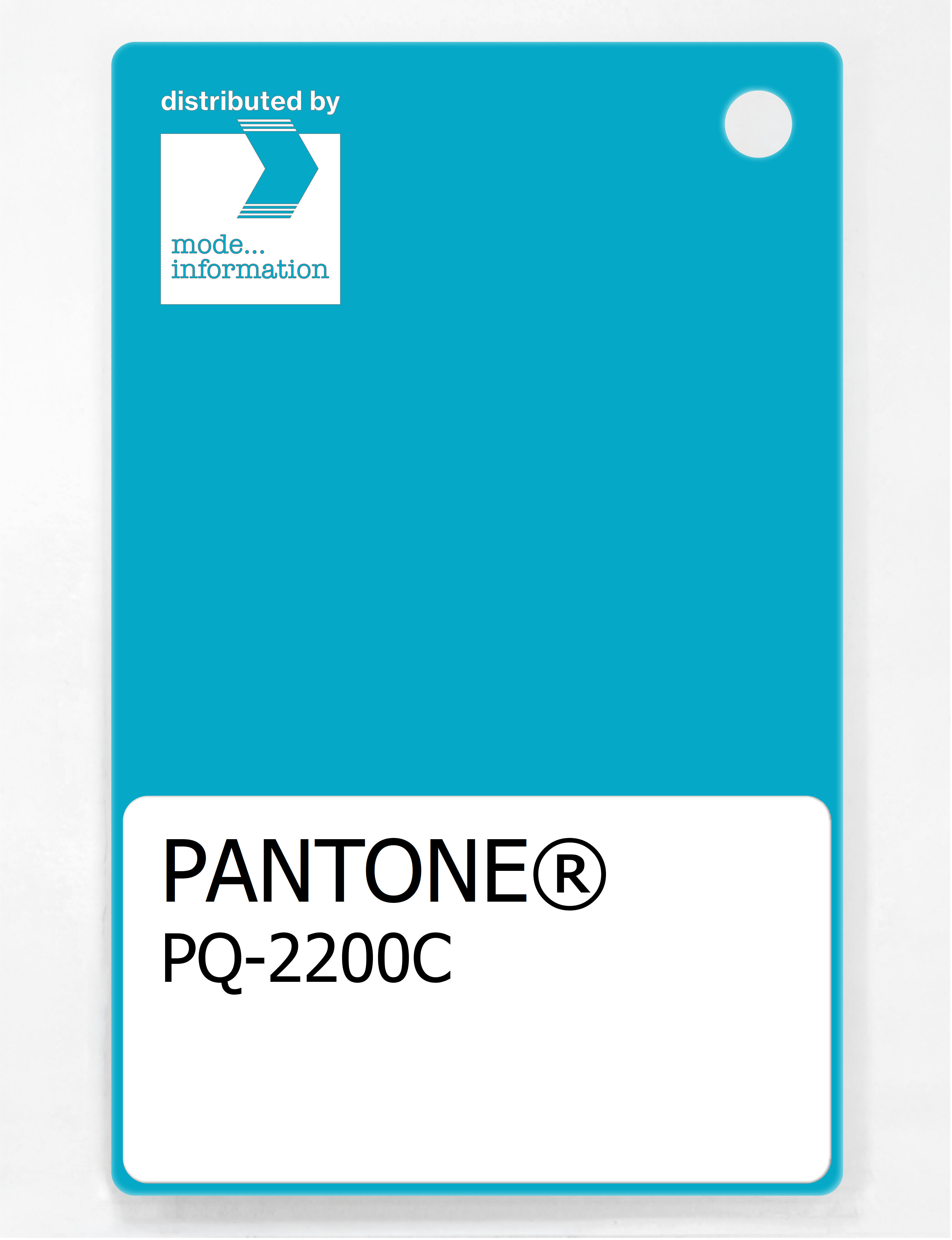 Product image 1 of the product “PANTONE® PLASTIC STANDARD CHIP PQ 2200C ”
