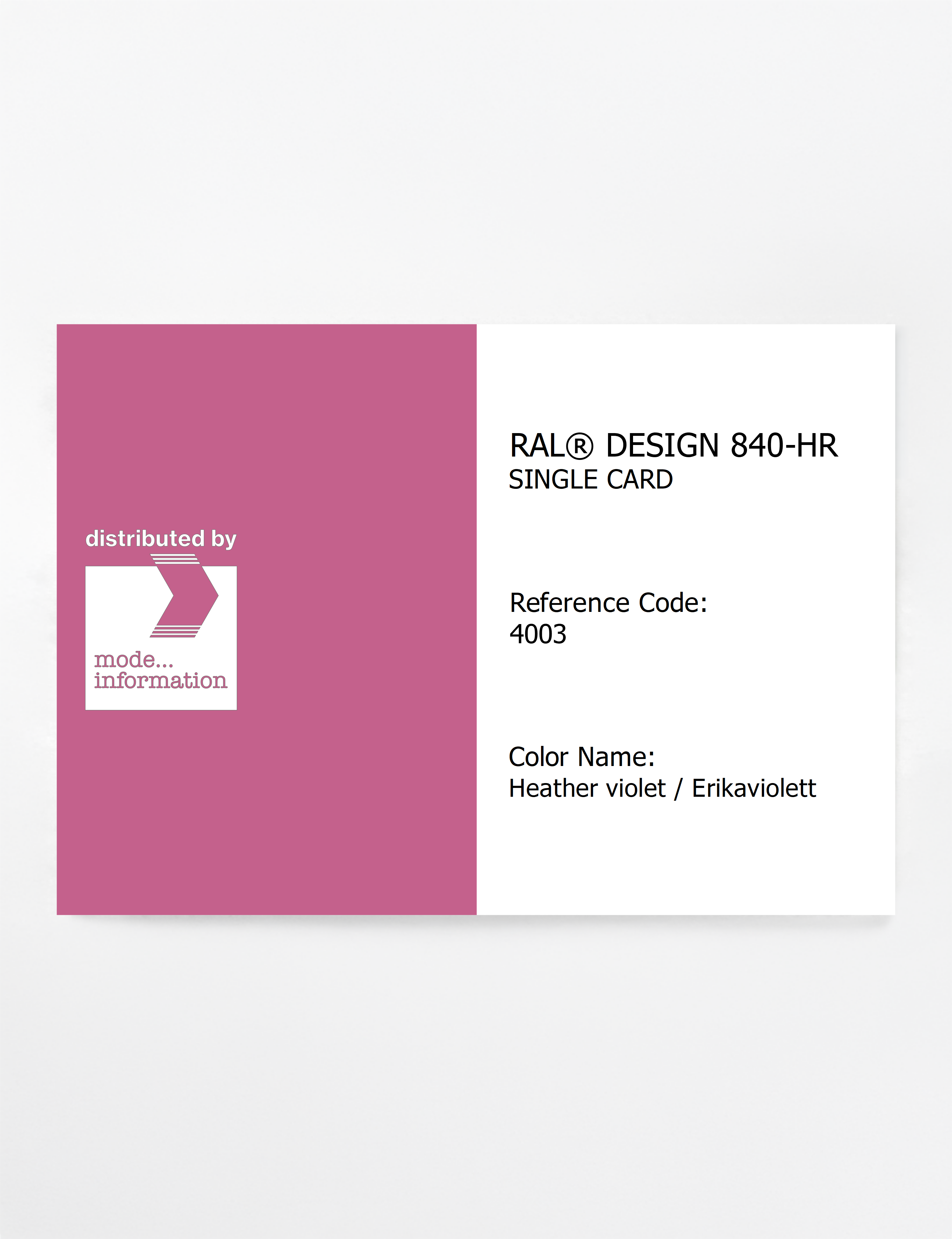 Product image 1 of the product “RAL® CLASSIC 840-HR SINGLE CARD 4003 Heather violet / Erikaviolett ”