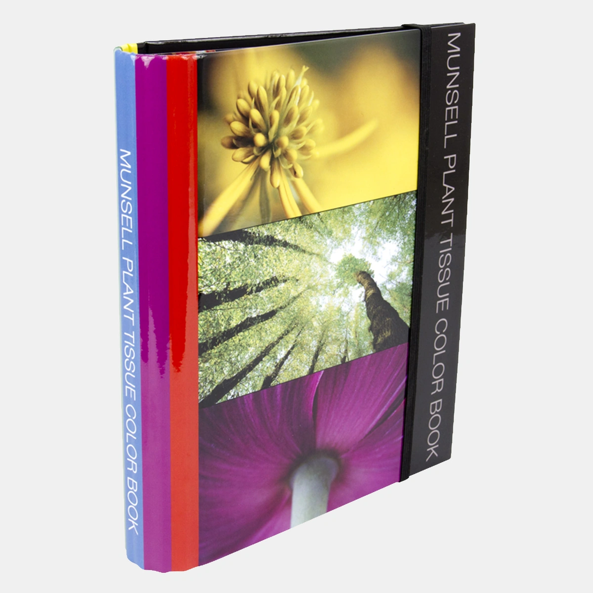 Artikelbild 2 des Artikels “Munsell Plant Tissue Color Book | Wissenschaftliche Farbtafeln für Pflanzengewebe “