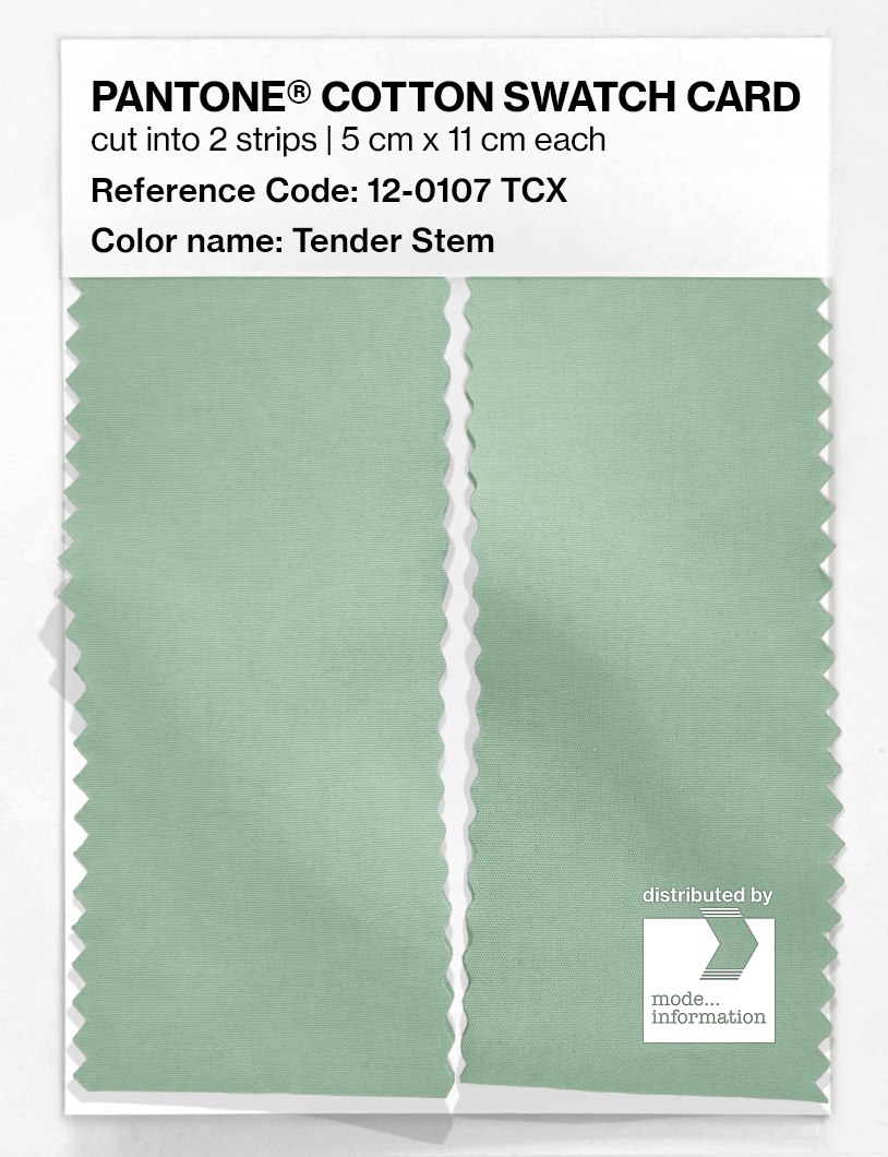 Product image 2 of the product “PANTONE® COTTON SWATCH CARD 12-0107 TCX Tender Stem ”