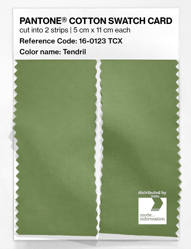 Product image 2 of the product “PANTONE® COTTON SWATCH CARD 16-0123 TCX Tendril ”