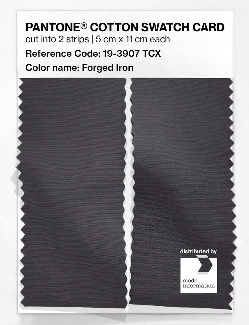 Artikelbild 2 des Artikels “PANTONE® COTTON SWATCH CARD 19-3907 TCX Forged Iron “