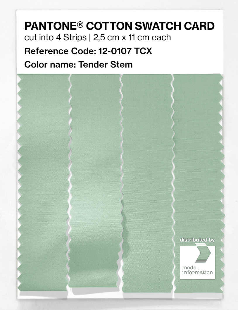 Product image 3 of the product “PANTONE® COTTON SWATCH CARD 12-0107 TCX Tender Stem ”