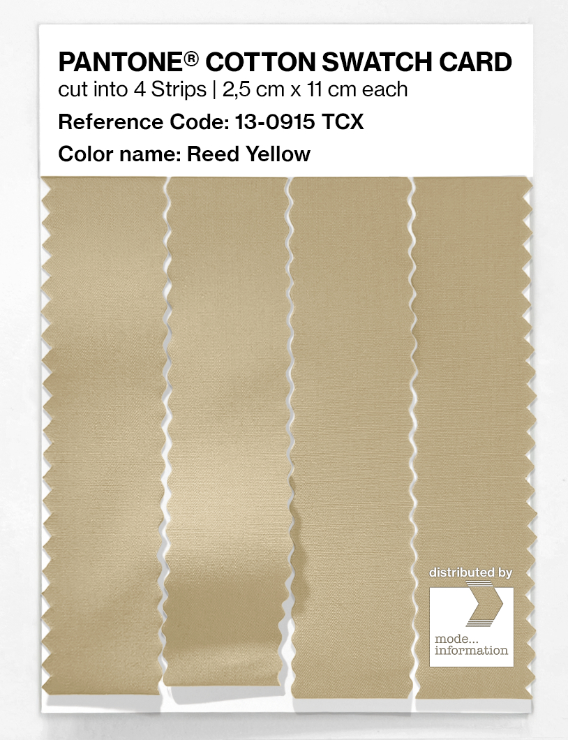 Product image 3 of the product “PANTONE® COTTON SWATCH CARD 13-0915 TCX Reed Yellow ”