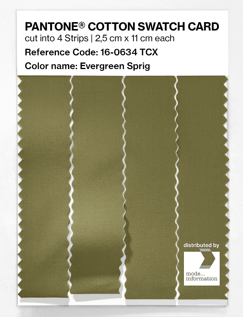 Product image 3 of the product “PANTONE® COTTON SWATCH CARD 16-0634 TCX Evergreen Sprig ”