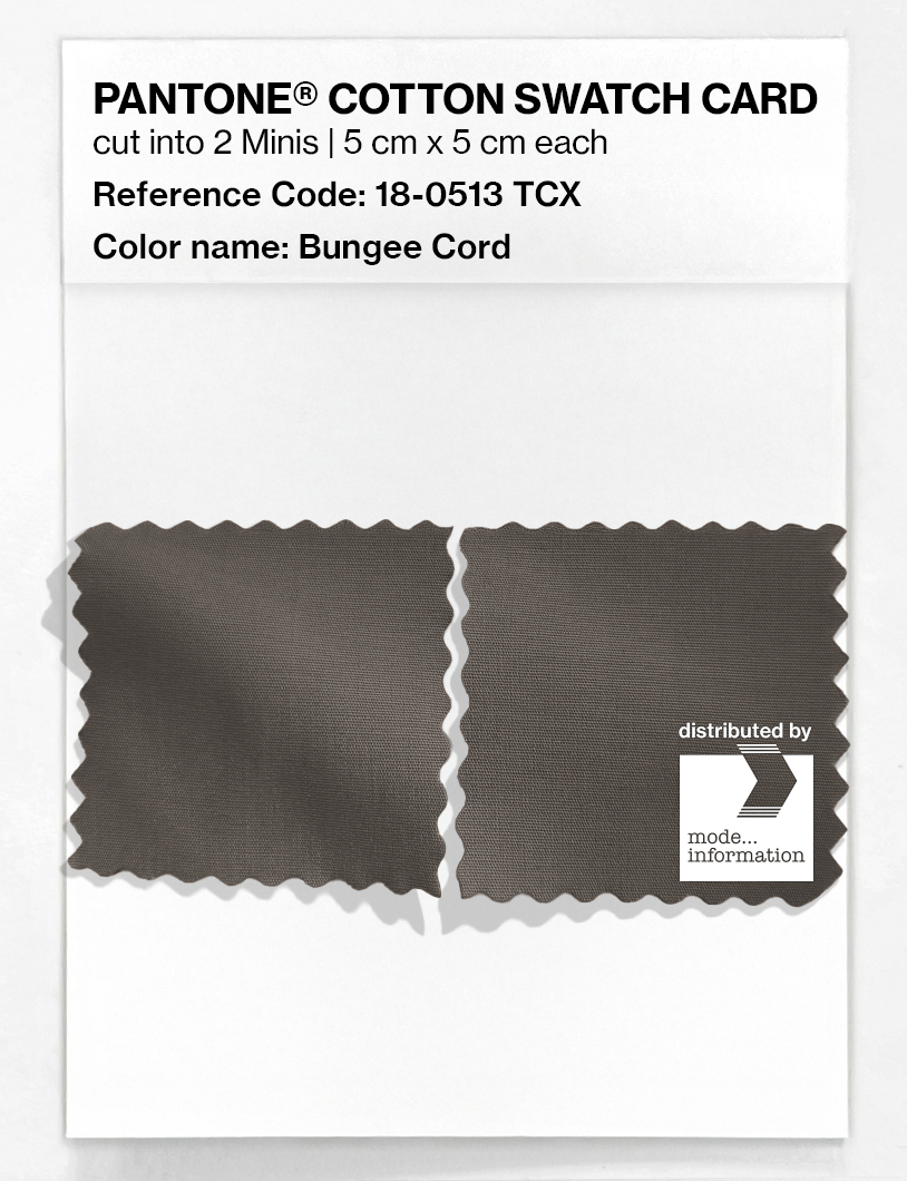 Artikelbild 4 des Artikels “PANTONE® COTTON SWATCH CARD 18-0513 TCX Bungee Cord “