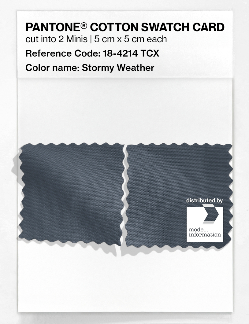 Artikelbild 4 des Artikels “PANTONE® COTTON SWATCH CARD 18-4214 TCX Stormy Weather “