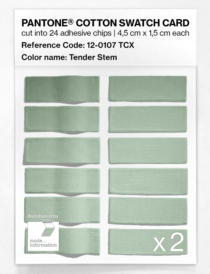 Product image 6 of the product “PANTONE® COTTON SWATCH CARD 12-0107 TCX Tender Stem ”